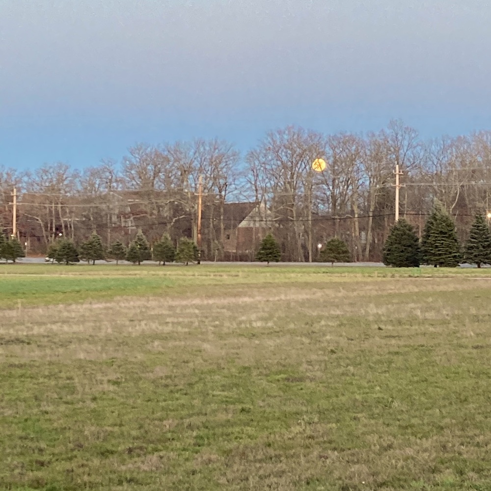 Meet your Posher, Adam